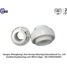 6006 Ceramic Ball Bearing